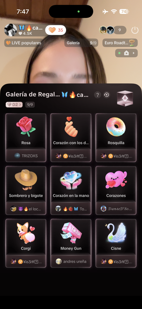 Camila portfolio 1